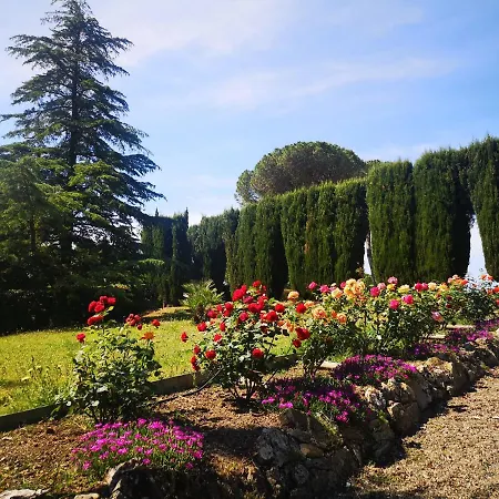 Bellaria Apartament *