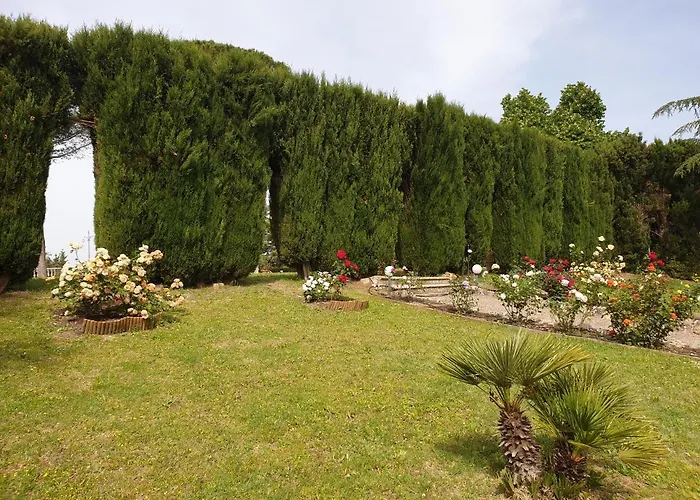 Bellaria Campagnatico